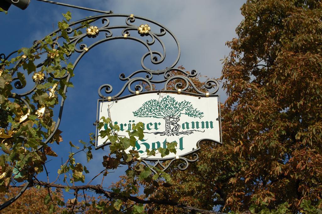 Hotel Gruener Baum Bretzenheim Exterior foto